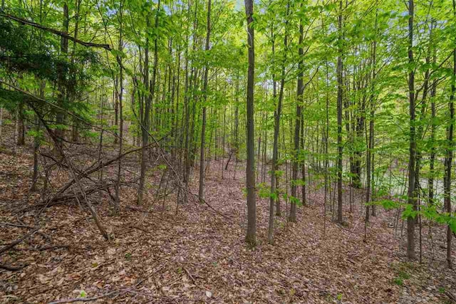 5650 Bergmann Rd, East Jordan, MI 49727