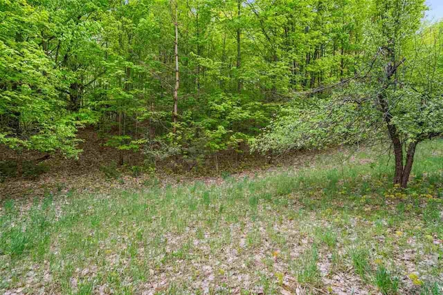 5650 Bergmann Rd, East Jordan, MI 49727