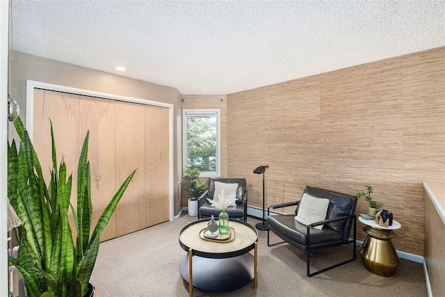 302 Quaintance Ave, Petoskey, MI 49770 - sitting room featuring a textured ceiling and carpet