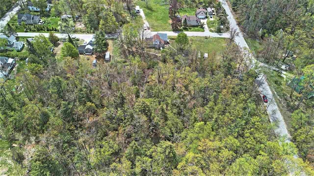 6073 Rocky Beach Ave, Charlevoix, MI 49720 - aerial view of property and surrounding area