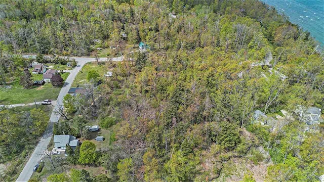 6073 Rocky Beach Ave, Charlevoix, MI 49720 - aerial view of property's location with a forest