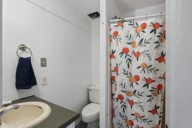 1117 E Mitchell St, Petoskey, MI 49770 - full bathroom featuring a shower with curtain, a textured ceiling, toilet, and vanity