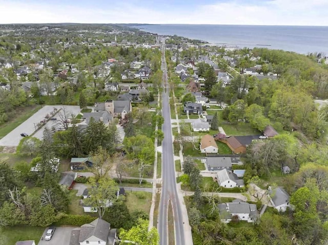 1117 E Mitchell St, Petoskey, MI 49770 - aerial view of property and surrounding area with nearby suburban area and a nearby body of water