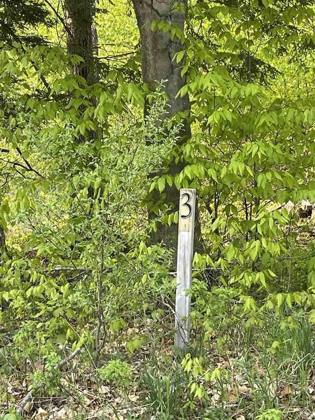 LOT3 High Pines Trl, Boyne City, MI 49712