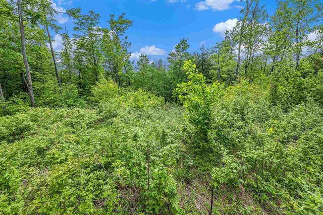 LOT3 High Pines Trl, Boyne City, MI 49712