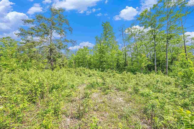 LOT3 High Pines Trl, Boyne City, MI 49712