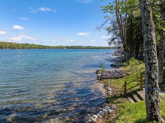 10819 Pioneer Trl, Boyne Falls, MI 49713 - water view