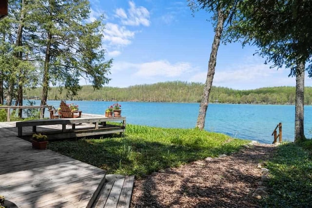 10819 Pioneer Trl, Boyne Falls, MI 49713 - water view featuring a forest