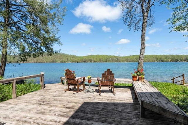 10819 Pioneer Trl, Boyne Falls, MI 49713 - dock with a water view