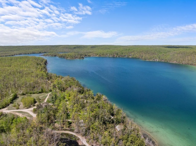 10819 Pioneer Trl, Boyne Falls, MI 49713 - aerial view of a forest and a large body of water