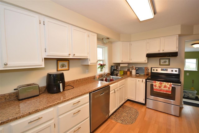 413 E Main St, Boyne City, MI 49712 - kitchen with appliances with stainless steel finishes, under cabinet range hood, a sink, light wood finished floors, and white cabinetry