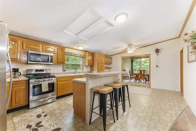 8370 Sisson, Bellaire, MI 49615 - kitchen featuring appliances with stainless steel finishes, healthy amount of natural light, light countertops, a sink, and ornamental molding