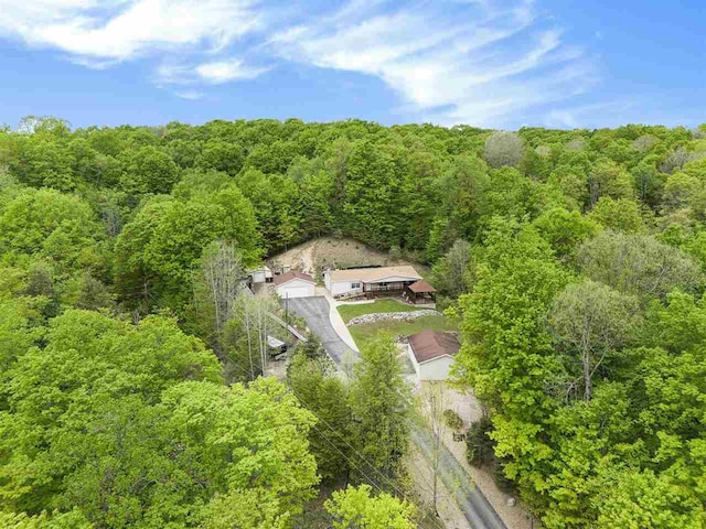 8370 Sisson, Bellaire, MI 49615 - view from above of property with a heavily wooded area