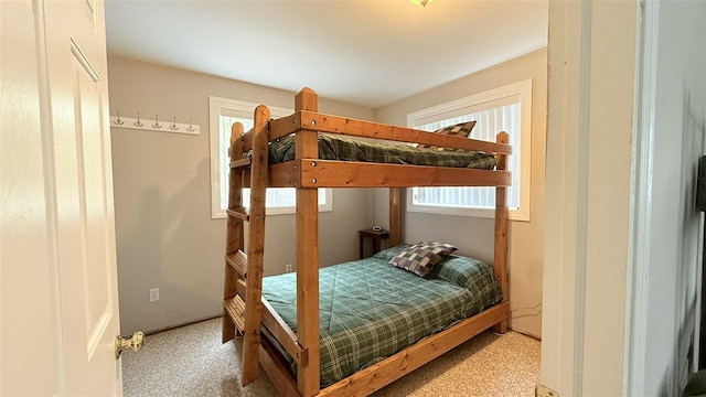 8902 Pickerel Lake Rd, Vanderbilt, MI 49795 - bedroom with carpet floors