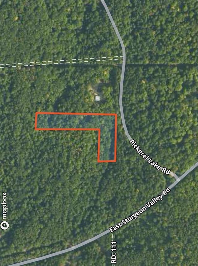 8902 Pickerel Lake Rd, Vanderbilt, MI 49795 - map / location featuring property parcel outlined