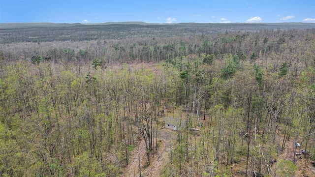 8902 Pickerel Lake Rd, Vanderbilt, MI 49795 - drone / aerial view of a forest