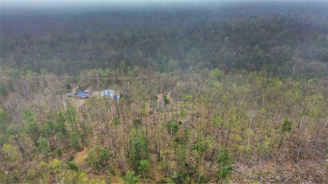 8902 Pickerel Lake Rd, Vanderbilt, MI 49795 - bird's eye view of a heavily wooded area