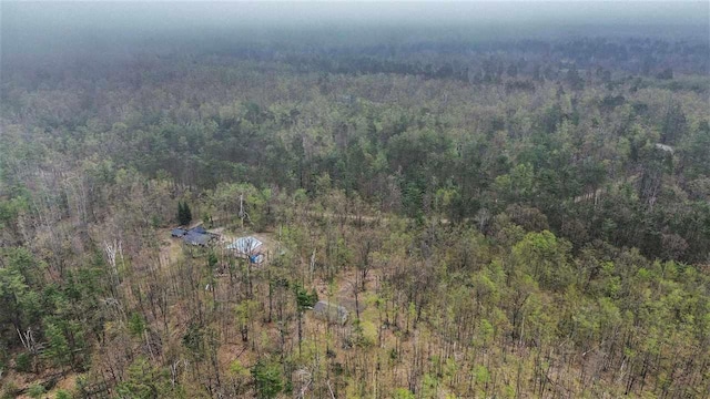 8902 Pickerel Lake Rd, Vanderbilt, MI 49795 - aerial view of property's location with a heavily wooded area