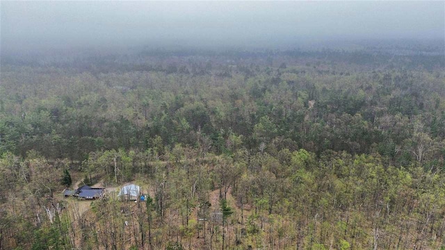 8902 Pickerel Lake Rd, Vanderbilt, MI 49795 - bird's eye view of a heavily wooded area