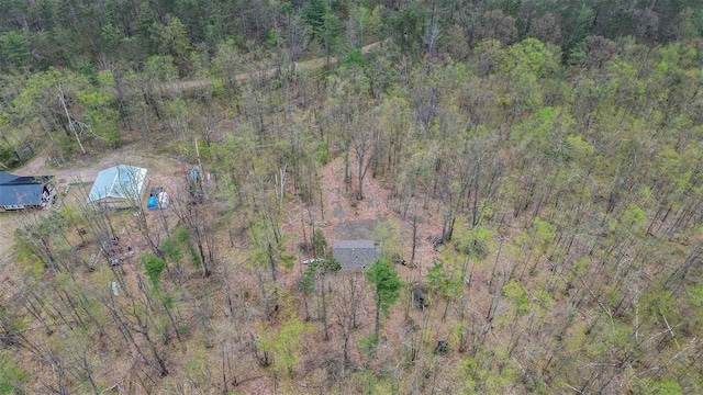 8902 Pickerel Lake Rd, Vanderbilt, MI 49795 - aerial view of property and surrounding area