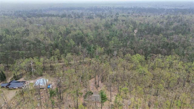 8902 Pickerel Lake Rd, Vanderbilt, MI 49795 - view of subject property with a heavily wooded area