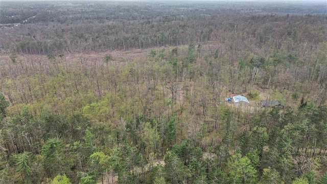 8902 Pickerel Lake Rd, Vanderbilt, MI 49795 - aerial view of a heavily wooded area