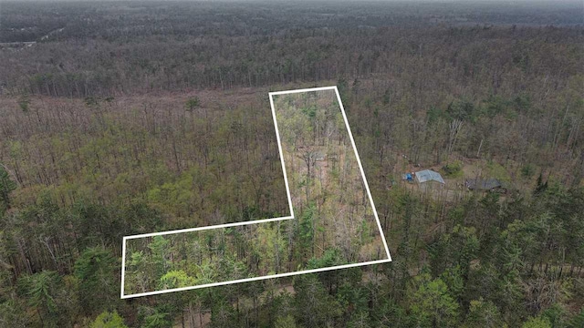 8902 Pickerel Lake Rd, Vanderbilt, MI 49795 - aerial view of property's location with a heavily wooded area and property boundaries highlighted