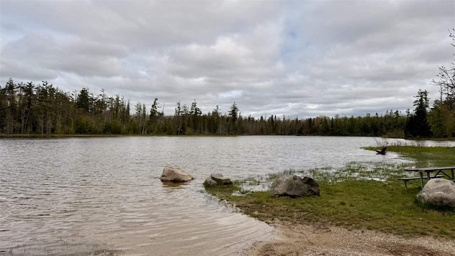 8902 Pickerel Lake Rd, Vanderbilt, MI 49795 - water view with a forest