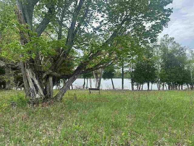 7777 Mulberry Ln, Charlevoix, MI 49720