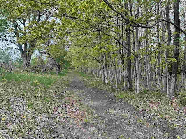 7777 Mulberry Ln, Charlevoix, MI 49720