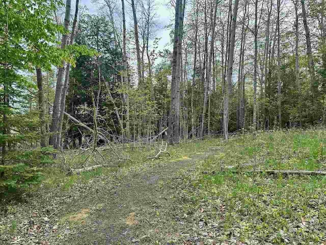 7777 Mulberry Ln, Charlevoix, MI 49720