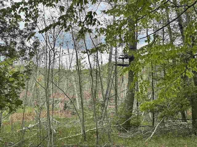 7777 Mulberry Ln, Charlevoix, MI 49720