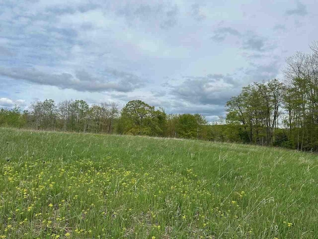 7777 Mulberry Ln, Charlevoix, MI 49720