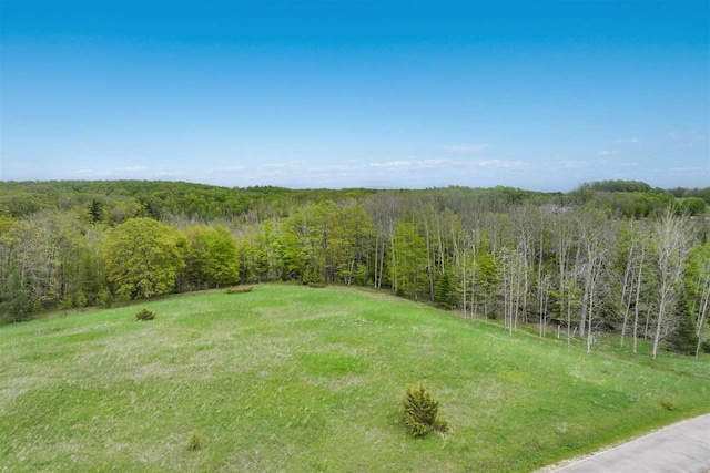 7777 Mulberry Ln, Charlevoix, MI 49720