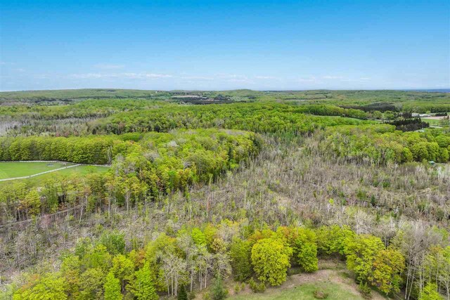 7777 Mulberry Ln, Charlevoix, MI 49720