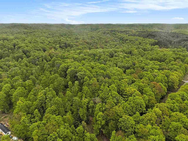 8705 Del Mason Rd, Mancelona, MI 49659 - bird's eye view of a forest