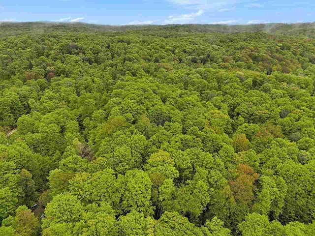 8705 Del Mason Rd, Mancelona, MI 49659 - aerial overview of property's location featuring a forest