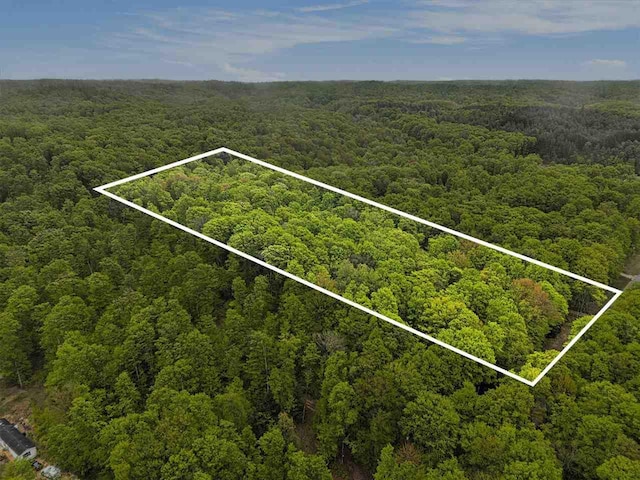 8705 Del Mason Rd, Mancelona, MI 49659 - view of property location with a forest and property boundaries highlighted
