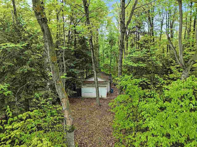 8705 Del Mason Rd, Mancelona, MI 49659 - view of outbuilding featuring a view of trees