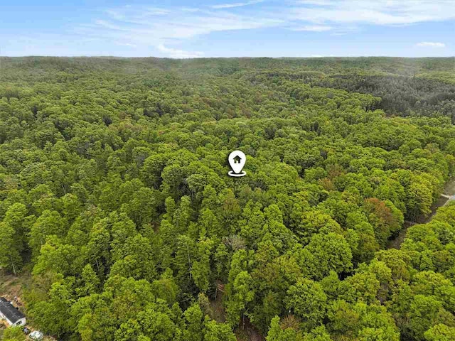 8705 Del Mason Rd, Mancelona, MI 49659 - bird's eye view of a heavily wooded area