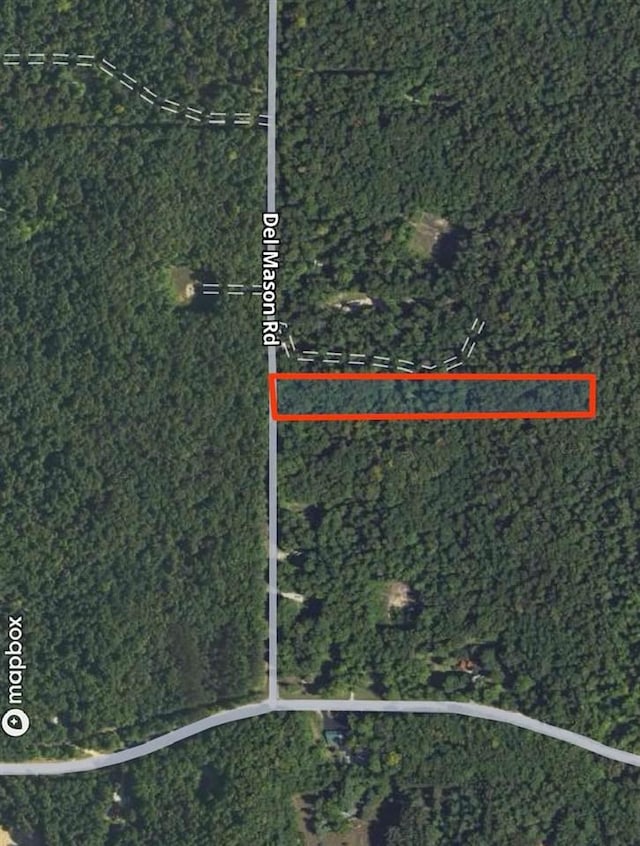 8705 Del Mason Rd, Mancelona, MI 49659 - map / location