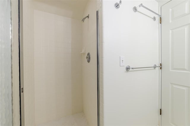301 Michigan Ave Unit 13, Charlevoix, MI 49720 - bathroom with a stall shower