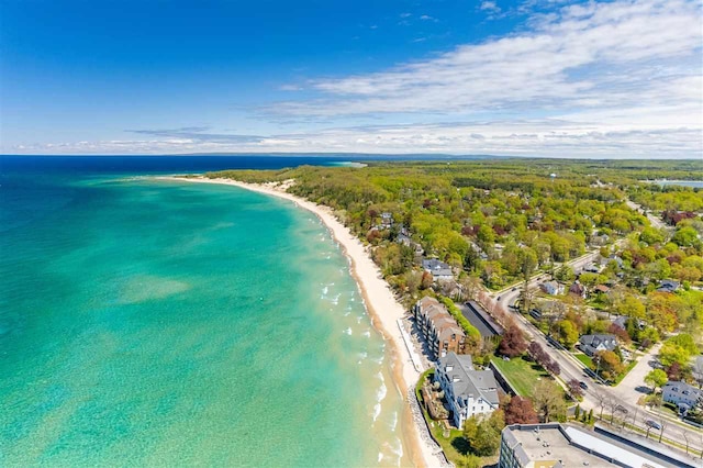 301 Michigan Ave Unit 13, Charlevoix, MI 49720 - view of property location with expansive coastline
