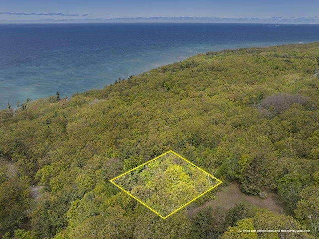 680 N Lake Shore Dr, Harbor Springs, MI 49740 - aerial view of property's location featuring property boundaries highlighted, a forest, and a large body of water