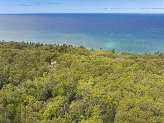 680 N Lake Shore Dr, Harbor Springs, MI 49740 - water view featuring a forest