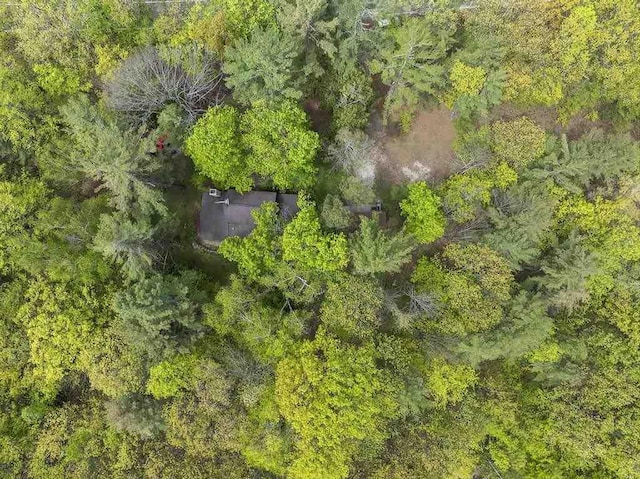 680 N Lake Shore Dr, Harbor Springs, MI 49740 - drone / aerial view