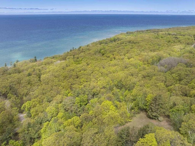 680 N Lake Shore Dr, Harbor Springs, MI 49740 - drone / aerial view of a forest and a nearby body of water