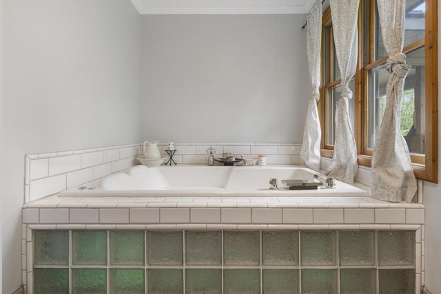 4545 Lintlong Rd, Petoskey, MI 49770 - bathroom with a garden tub and crown molding