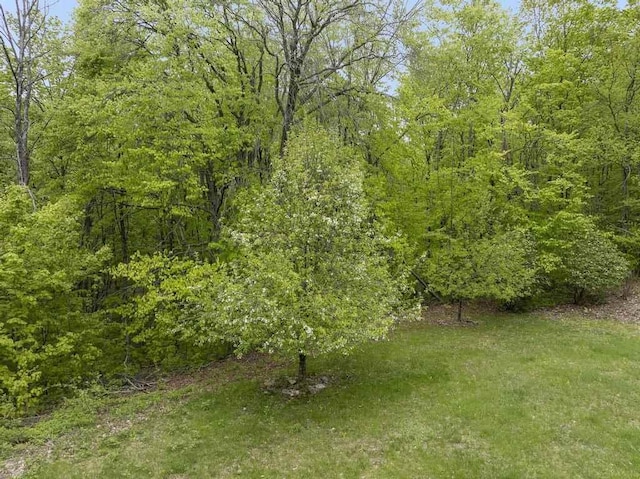 4545 Lintlong Rd, Petoskey, MI 49770 - view of green lawn with a wooded view
