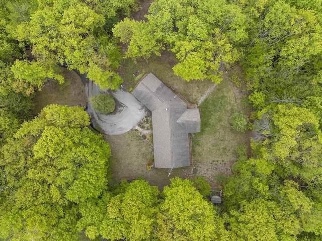 4545 Lintlong Rd, Petoskey, MI 49770 - bird's eye view